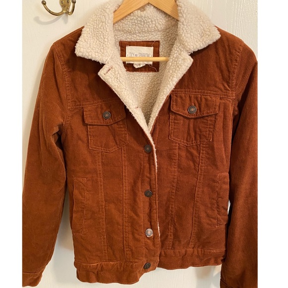 amazon men's windbreakers